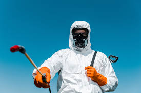 Best Indoor Pest Control  in Runaway Bay, TX